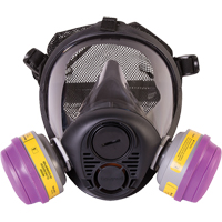 Respirateur &agrave; masque complet de s&eacute;rie RU6500 de North, Silicone, Petit MAS Chibougamau