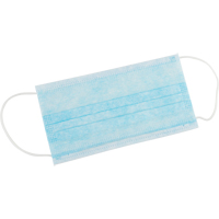 Disposable Face Masks, Non-Medical MAS Chibougamau