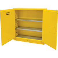 Flammable Storage Cabinet, 24 gal., 2 Door, 43" W x 44" H x 12" D MAS Chibougamau