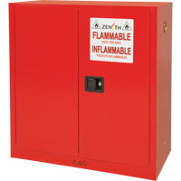Paint/Ink Cabinet, 45 gal., 3 Shelves MAS Chibougamau