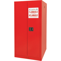 Paint/Ink Cabinet, 96 gal., 5 Shelves MAS Chibougamau