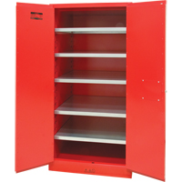 Paint/Ink Cabinet, 96 gal., 5 Shelves MAS Chibougamau