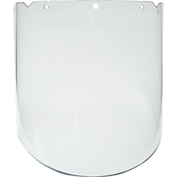 Faceshield Visors