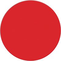 Armor Stripe Lean/5S Markers, Circle, 6" L x 6" W, Red, Plastic MAS Chibougamau