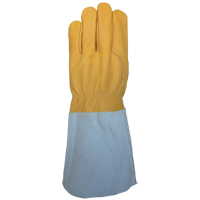 Leather Gloves