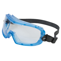 Uvex&reg; Entity Safety Goggles, Clear Lens, Anti-Fog, Indirect Vent MAS Chibougamau