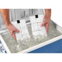 Sachets pour veste de refroidissement &agrave; changement de phase 6260 Chill-Its MAS Chibougamau
