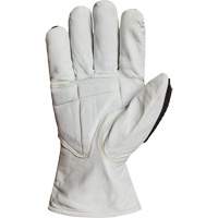 Gants r&eacute;sistant &agrave; la coupe et aux chocs Endura 378GKGVBE, Petit, Paume en Ch&egrave;vre, Poignet Conducteur MAS Chibougamau