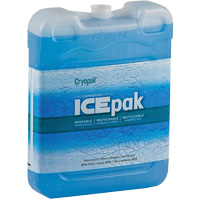 Ice-Pak IP-200 r&eacute;utilisable pour le transport MAS Chibougamau