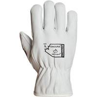 Endura&reg; Winter-Lined Driver Gloves, X-Large, Grain Goatskin Palm, Thinsulate Inner Lining MAS Chibougamau