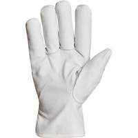 Endura&reg; Winter-Lined Driver Gloves, X-Large, Grain Goatskin Palm, Thinsulate Inner Lining MAS Chibougamau