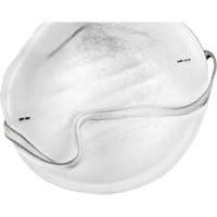 Disposable Nuisance Dust Mask MAS Chibougamau