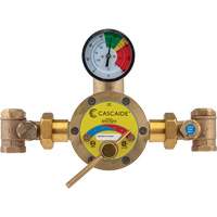 Mitigeur pour assemblage au groupe expos&eacute; d'une douche d'urgence simple ou combin&eacute;e, 56 gal./min MAS Chibougamau