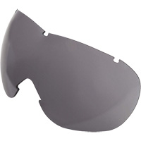 Lentille de rechange pour les lunettes de s&eacute;curit&eacute; &agrave; coques Uvex Sub-Zero, Antibu&eacute;e/anti-&eacute;gratignures, Gris, Uvex Sub-Zero MAS Chibougamau