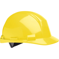 Casque de s&eacute;curit&eacute; North Matterhorn, R&eacute;pond aux normes CSA type 2, Suspension Rochet, Non ventil&eacute; MAS Chibougamau