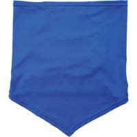 Chill-Its 6483 Cooling Neck Gaiter Bandana with Pocket, Blue MAS Chibougamau