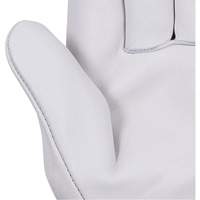 535G Beige Driver's Gloves, Small, Grain Cowhide Palm MAS Chibougamau