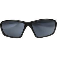 Robson Safety Glasses with Gasket, Silver Mirror Lens, Anti-Scratch/Polarized, ANSI Z87+/MCEPS GL-PD 10-12/Meets/Exceeds CSA Z94.3 MAS Chibougamau