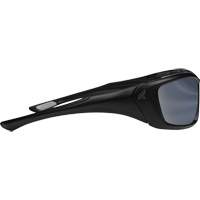 Robson Safety Glasses with Gasket, Silver Mirror Lens, Anti-Scratch/Polarized, ANSI Z87+/MCEPS GL-PD 10-12/Meets/Exceeds CSA Z94.3 MAS Chibougamau