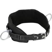 WB-6020-S Dispositif de retenue de s&eacute;curit&eacute; avec ceinture &agrave; deux anneaux en D et support lombaire rembourr&eacute; - Petit MAS Chibougamau