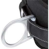 WB-6020-S Dispositif de retenue de s&eacute;curit&eacute; avec ceinture &agrave; deux anneaux en D et support lombaire rembourr&eacute; - Petit MAS Chibougamau