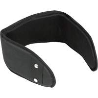 WB-6006 Support lombaire rembourr&eacute; pour ceinture - Universel MAS Chibougamau