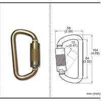 CP-03015-2 Zinc Plated Carabiner with 3/4" Gate Opening, Steel MAS Chibougamau