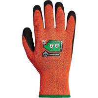 Gants d'hiver r&eacute;sistants &agrave; la coupe Dexterity TKTAGLX, Taille Moyen, Calibre 13, Rev&ecirc;tement Latex, Enveloppe en TenActiv, ASTM ANSI niveau A3 MAS Chibougamau