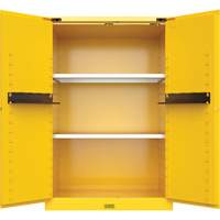 Armoire de s&eacute;curit&eacute; pour produits inflammables Utili-Guard+, 45 gal., 2 Porte(s), 43" La x 65" h x 22" p MAS Chibougamau