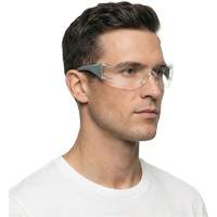 Adapt Lite Grey/Green Safety Glasses, Clear Lens, Anti-Fog/Anti-Scratch, ANSI Z87+/Meets/Exceeds CSA Z94.3 MAS Chibougamau