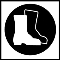&eacute;tiquettes avec pictogramme Right to Know - Bottes, Vinyle, Feuille, 5/8" lo x 3/4" la MAS Chibougamau