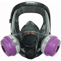 Respirateur &agrave; masque complet North s&eacute;rie 7600, Silicone, Grand/Moyen/Moyen/grand MAS Chibougamau