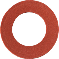 Replacement Inhalation Gaskets MAS Chibougamau