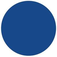 Round Write-On Labels, Circle, 1.5" L x 1.5" W, Blue MAS Chibougamau