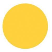 Round Write-On Labels, Circle, 3" L x 3" W, Yellow MAS Chibougamau