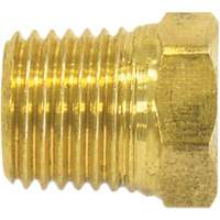 Bouchon de tuyau (t&ecirc;te hexagonale), 1/4" dia., Laiton MAS Chibougamau