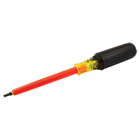 Square Screwdriver MAS Chibougamau