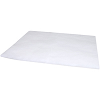 PA1765FOAM Spin-On Coolant Filter with BTE Formula MAS Chibougamau
