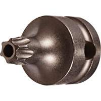 Socket Bit, Torx&reg; Tamper, 25 x 1" L, 3/8" Drive MAS Chibougamau