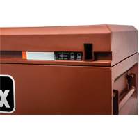 Armoire Site-Vault, 30" x 20" x 19-3/4", Acier, Orange MAS Chibougamau