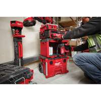 Packout Tool Cabinet, 15" x 15" x 20", Black/Red MAS Chibougamau
