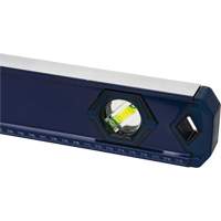 High-Accuracy Level, Box, 4' L, Aluminum, 3, Non-Magnetic MAS Chibougamau