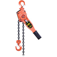 VLP Series Lever Chain Hoist, 10' Lift, 1653.46 lbs. (0.75 tons) Capacity MAS Chibougamau