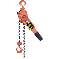 KLP-75-10 KLP Series Heavy-Duty Lever Chain Hoist, 10' Lift, 1500 lbs. (0.75 tons) Capacity MAS Chibougamau