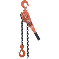 KLP-300L-5 KLP Series Heavy-Duty Lever Chain Hoist with Overload Protection, 5' Lift, 6000 lbs. (3 tons) Capacity MAS Chibougamau