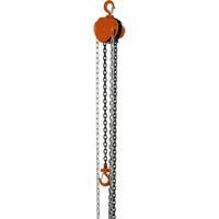 VHC Series Chain Hoists, 10' Lift, 1100 lbs. (0.5 tons) Capacity, Alloy Steel Chain MAS Chibougamau