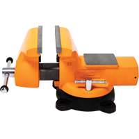 Mechanic's Bench Vise with Anvil, 8" Jaw Width MAS Chibougamau