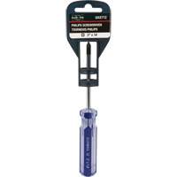 Tournevis Philips bleu transparent avec bandes, #1, Prise Plastique MAS Chibougamau
