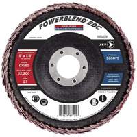 Flap Discs