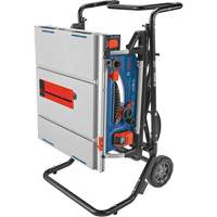 Jobsite Table Saw with Gravity-Rise Wheeled Stand, 120 V, 15 A, 3800 RPM MAS Chibougamau